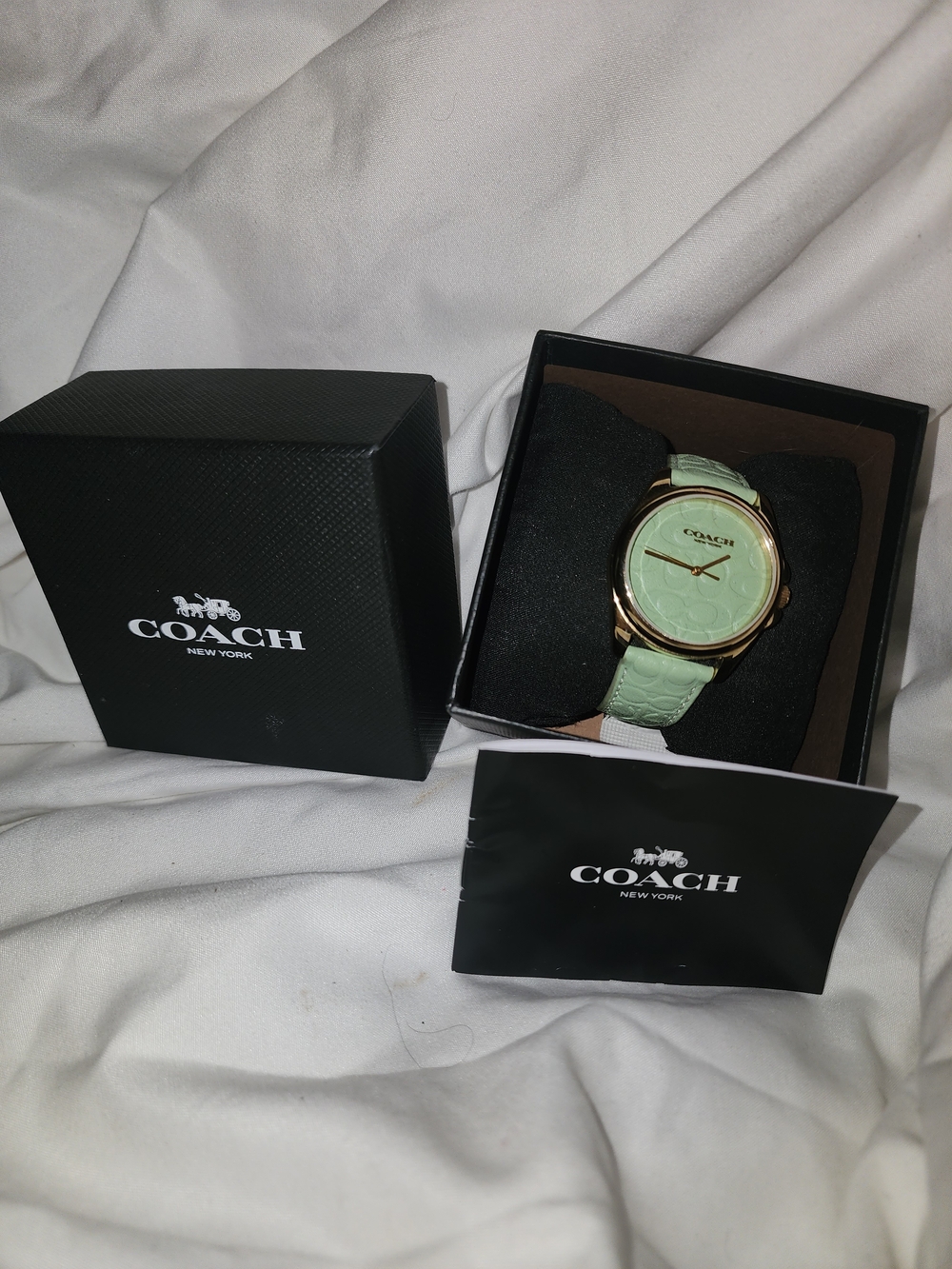 COACH Mint Green Leather Strap Watch with Gold-Tone Case